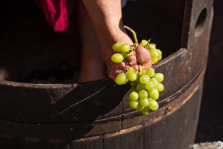 Magico Novecento (San Felice sul Panaro - MO)
